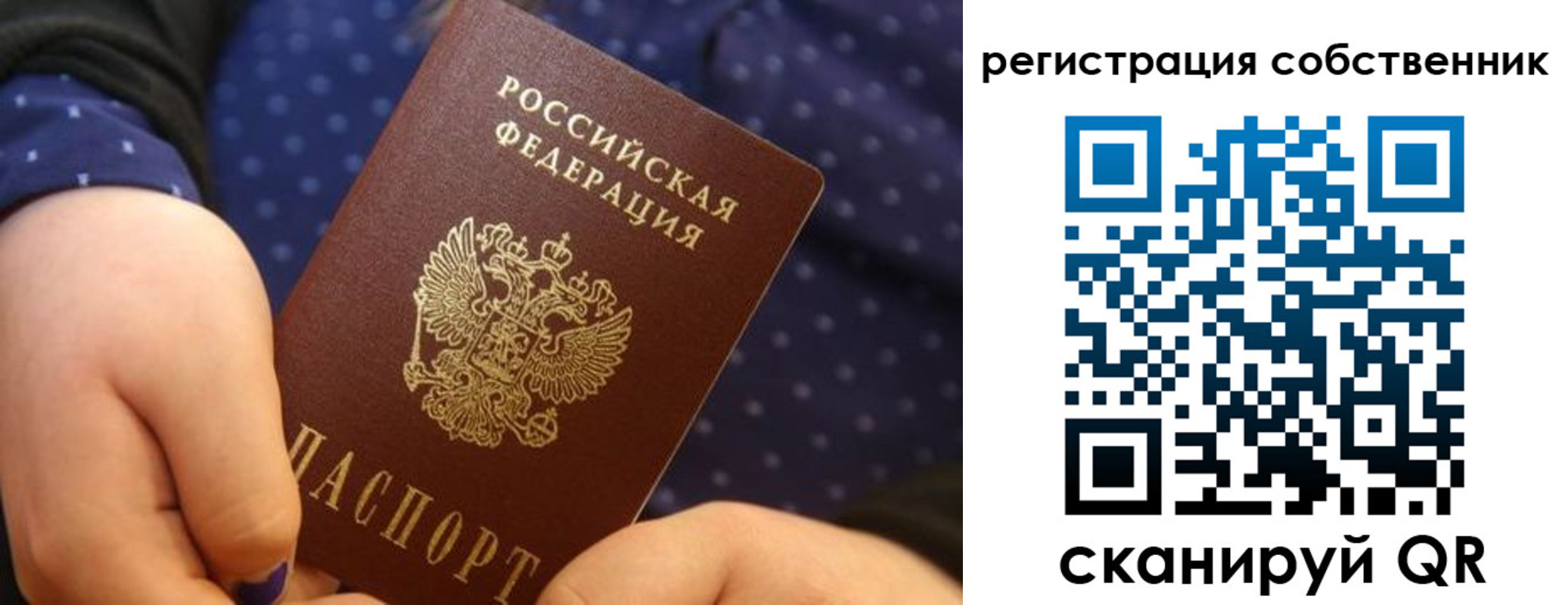 прописка законно в Саратове